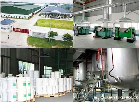 油墨油漆生产车间及设备