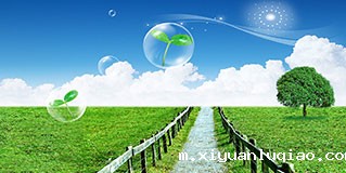 水性胶水无气味，无毒